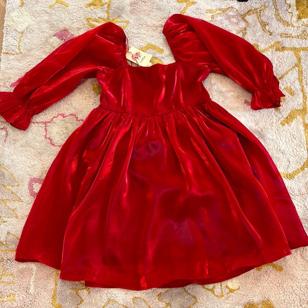 NWT Entro Dress